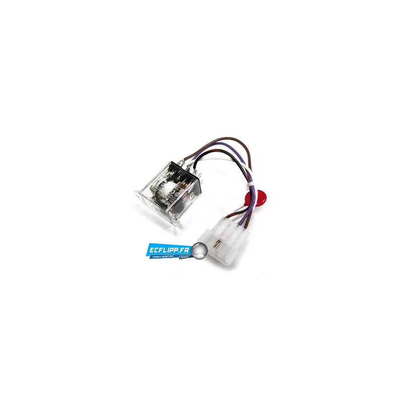 Relais 24 V avec faisceau intégré pour flippers Stern 500-6700-00
