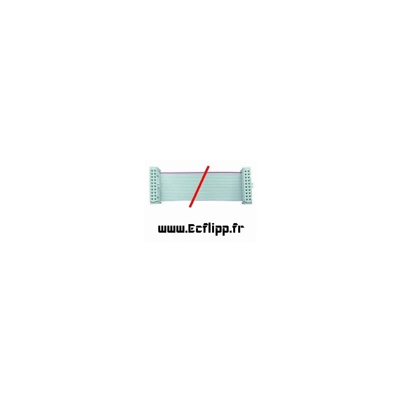 Ribbon 20 pins 17cm pour gtb sys3
