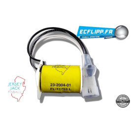 JJP FL-11753 Coil 23-002004-01