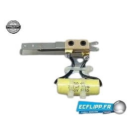 Gottlieb double contact switch EOS