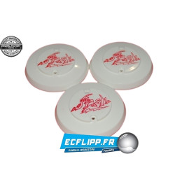 Cap set Williams  Flash ( 3 pièces )