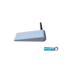 Flipp blanc data east