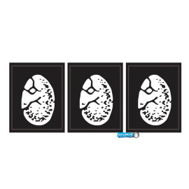 Target decals The Lost World Jurassic Park SEGA