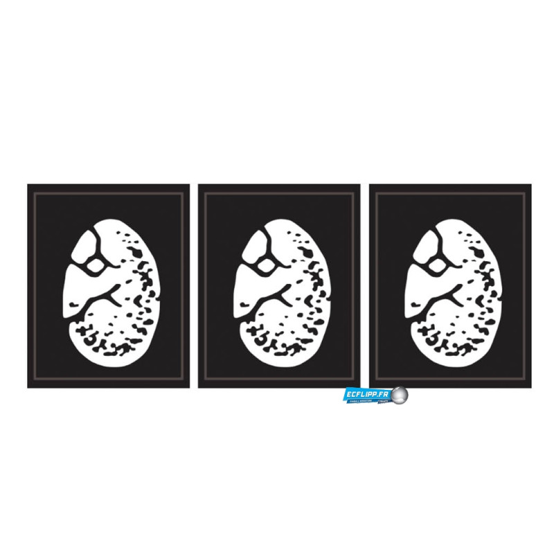 Decals de cible The Lost World Jurassic park Sega