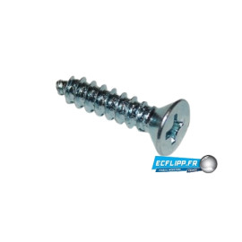 4x flap Ramp Screw 4x1/2"
