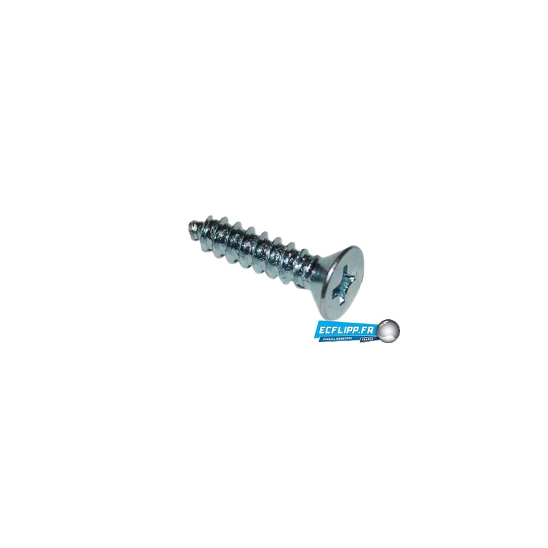 4 vis 4x1/2" flap de Rampe
