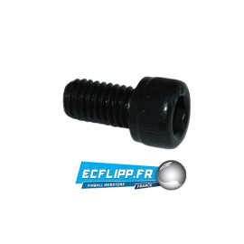 3 Vis torx 10-32 3/8"   4010-01066-06