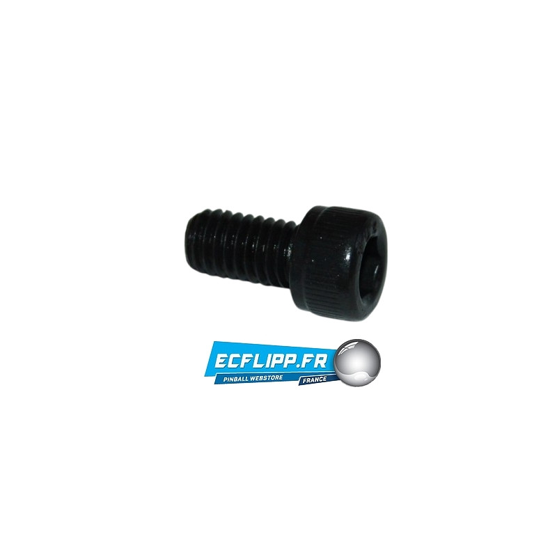 3 Vis torx 10-32 3/8"   4010-01066-06
