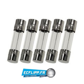 5 Fusibles 5x20 temporisés 250mAT