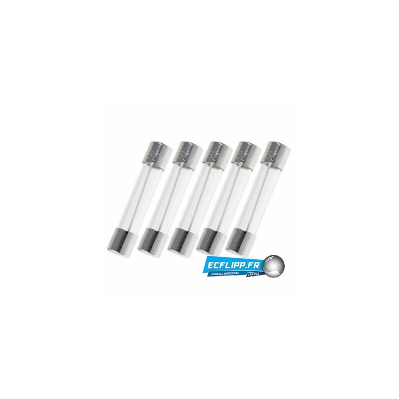 5 Fusibles 6x30  500mA