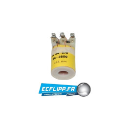 Bobine  A-24-570/34-3600 Bally