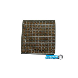 1 boite 555  PRO (100 ampoules)