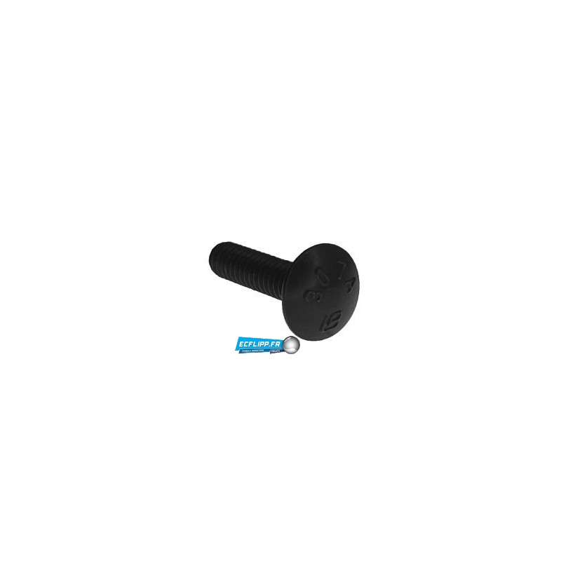 boulon 1/4-20 x 1" Black Carriage Bolt