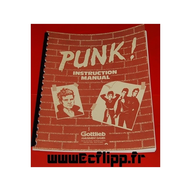 Manuel instructions Punk