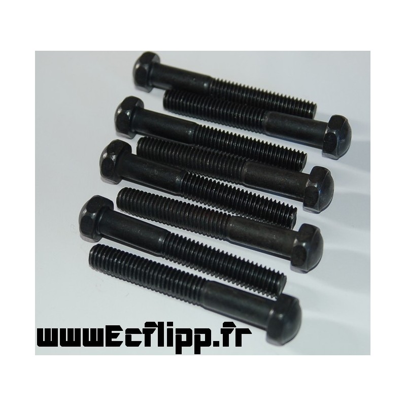 8 vis de pied noir 