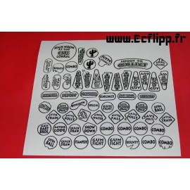 Decals insert Cactus Canyon