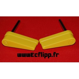 Flippers Safe Cracker Williams (2 pièces )