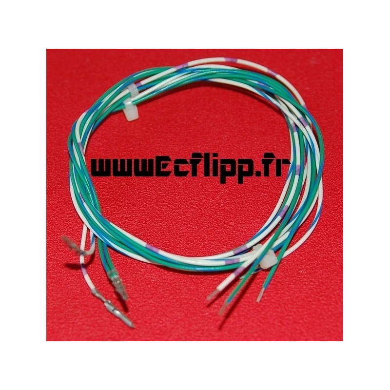 Fils Champion Pub boxer assy cable