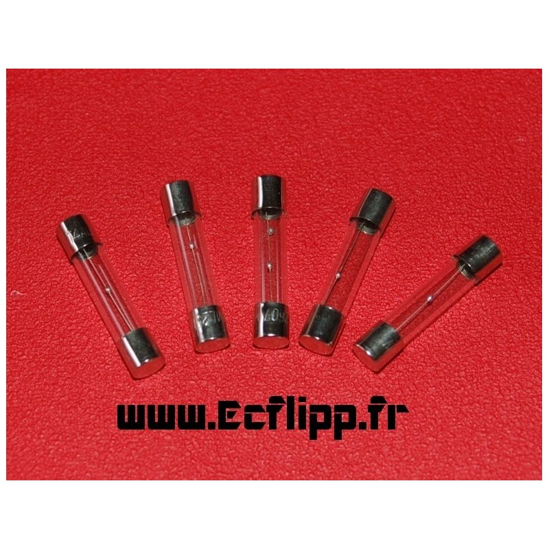 Fusibles 6x30 temporisés300mA ( 5 p )