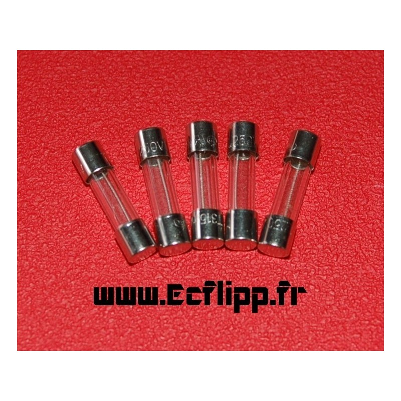 5 Fusibles 5x20 temporisés 2.5A