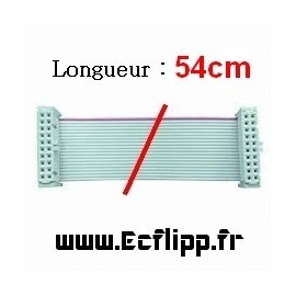 Ribbon 20 pins env 12 cm pour gtb sys3