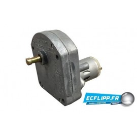 Moteur Gottlieb Barb Wire / Waterworld