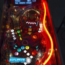 Neon Led Cirqus Voltaire ( couleur à choisir  ) 