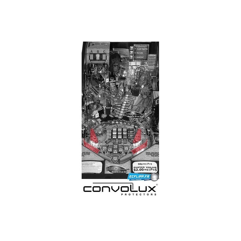 Convolux Ripley's STERN  : Jaune