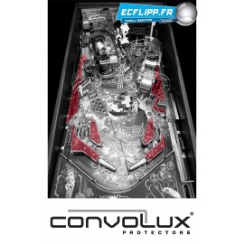 Convolux Willy Wonka standard vert 