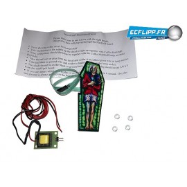 Scared Stiff Illuminated coffin decal