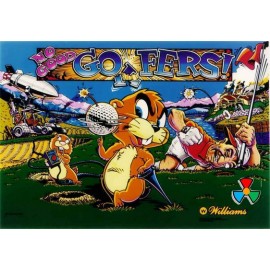 ColorDMD afficheur LCD pour flipper No Good Gofers