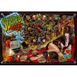 colorDMD afficheur LCD pour flipper Scared Stiff