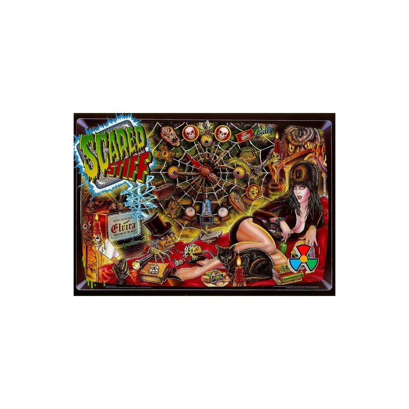 colorDMD afficheur LCD pour flipper Scared Stiff