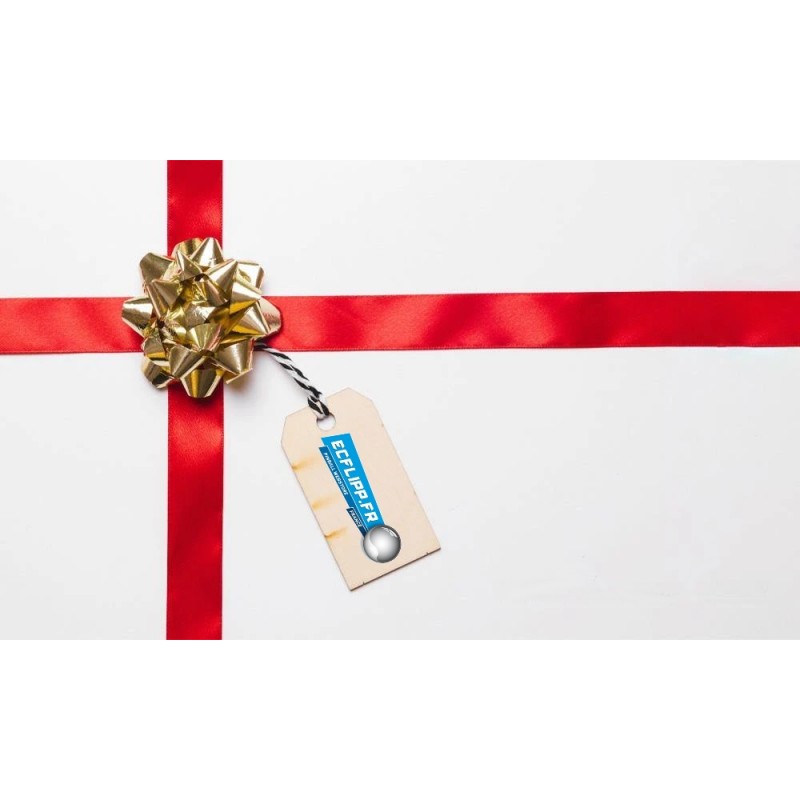 50 euros Gift card Ecflipp.fr