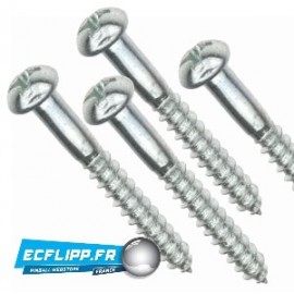 4 Vis bois 1" tête arrondie 4205-01016-16
