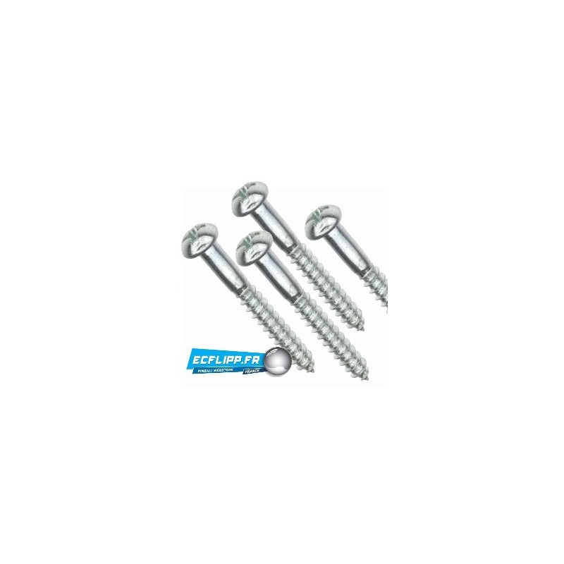 4 Vis bois 1" tête arrondie 4205-01016-16
