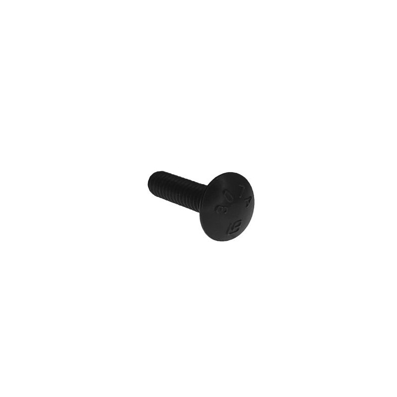 1/4-20 x 1" Black Carriage Bolt