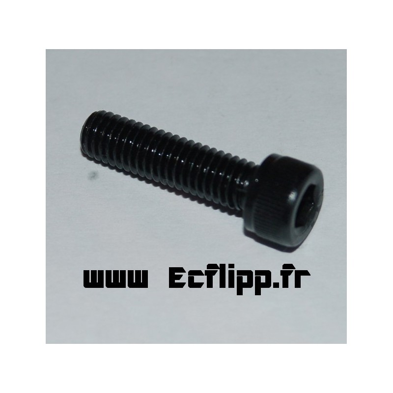 Vis torx 3/4"  ref 4010-01066-12