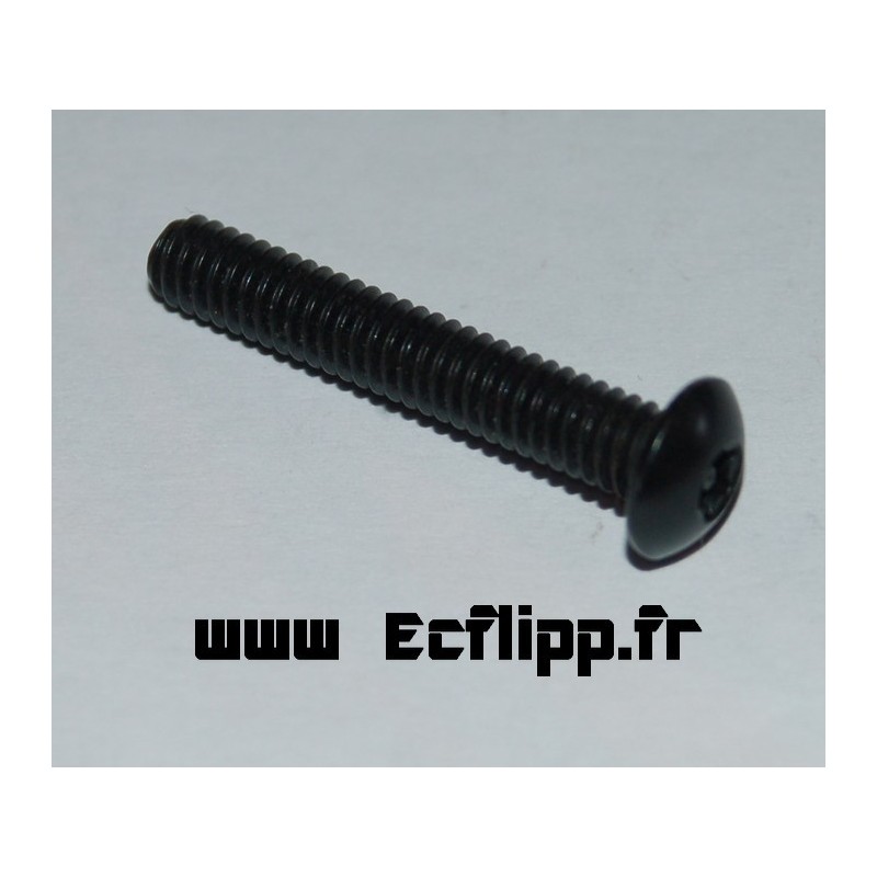 Vis Torx security 1" ref4008-01093-16