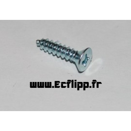 Vis Ramp Screw 4x1/2"