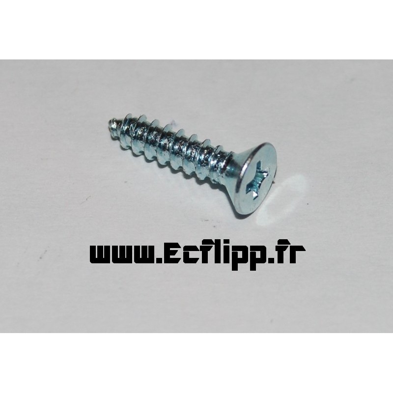 Vis Ramp Screw 4x1/2"