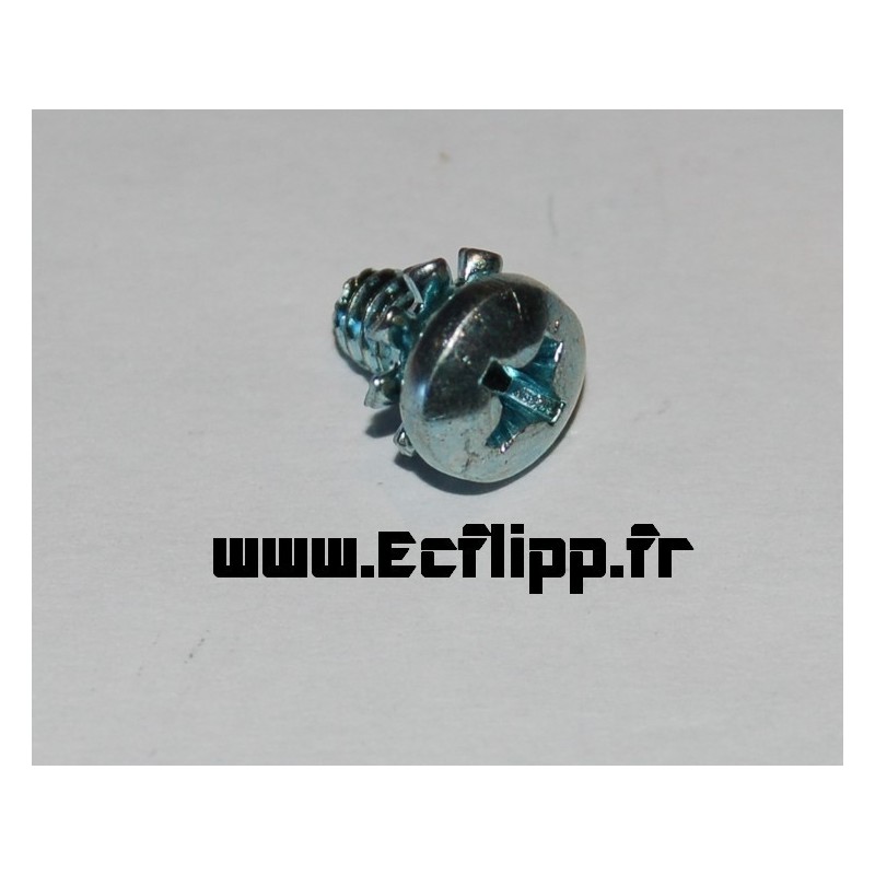 Vis 6-32x1/4" ref4006-01017-04