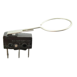Micro switch 180-5116-00 court