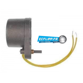 Moteur 041-5030-00/515-5900-00 Stern Data East