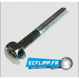 Sac de 100 vis de pied de flipper Zinc