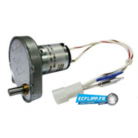 Moteur 511-6968-00 AC DC canon Stern